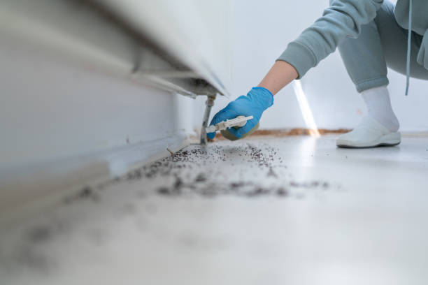 Best Residential Pest Control  in Woodstock, GA